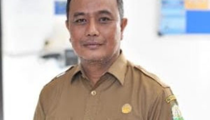 Mangsa Ternak Warga, BKSDA Aceh Diminta Lakukan Patroli Rutin di Lokasi Serangan Ajag