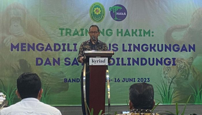 Ketua Pengadilan Tinggi Banda Aceh: Hakim Harus Pro Lingkungan