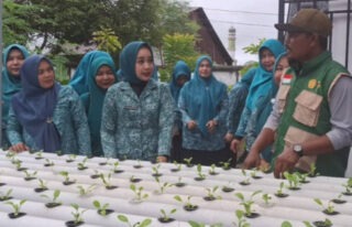Ketua TP-PKK Abdya Dorong Pemanfaatan Pekarangan untuk Kemandirian Pangan