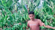 Menanam Harapan untuk Petani Muda di Lereng Lembah Seulawah Lamtamot